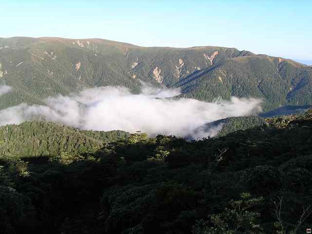 NZ leden-unor 2006 214.jpg